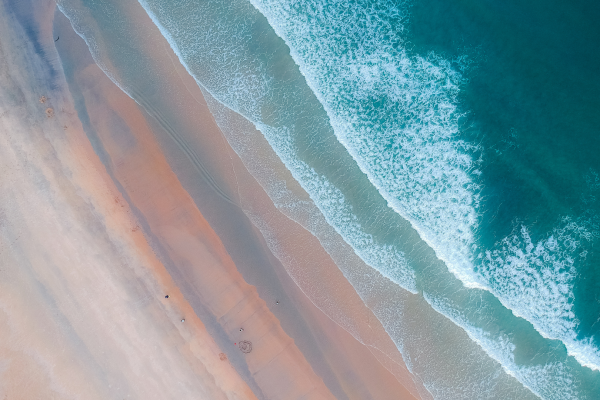 BPC_Website_Images_16-9_CANVA_Pro_123