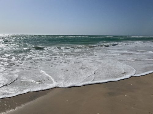 IMG_1545